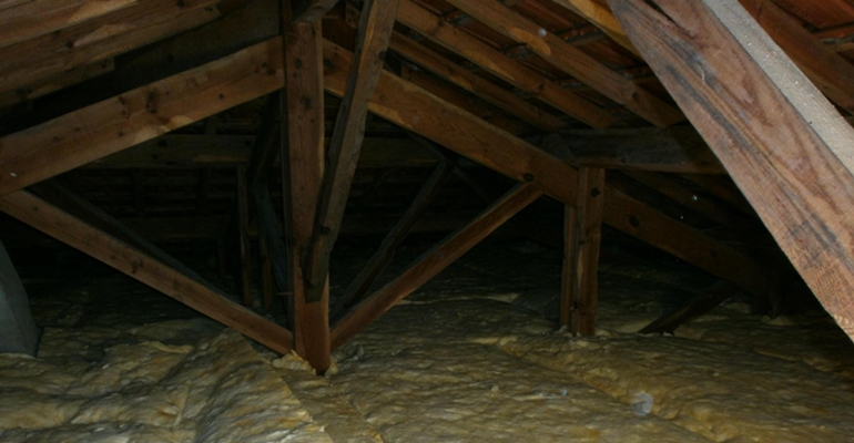 Le diagnostiqueur termites doit payer pour son erreur
