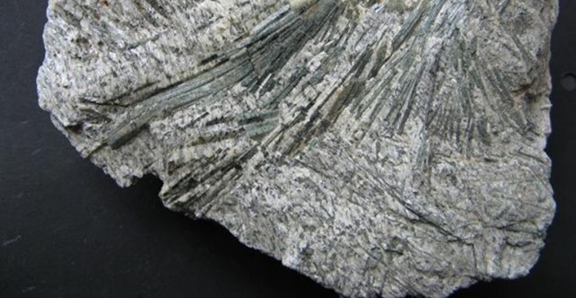 L’actinolite, une identification est possible