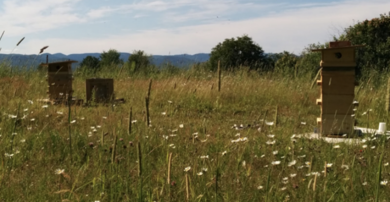 EuropAmiante s’engage pour le développement durable