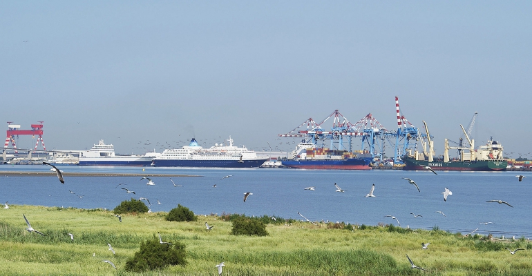 À Saint-Nazaire, l’amiante est l’une des causes de surmortalité